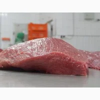 Покупаем яйцо и куриную продукцию оптом- фото № 9