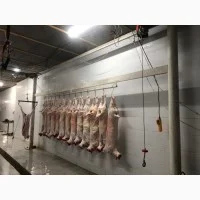 Покупаем яйцо и куриную продукцию оптом- фото № 14