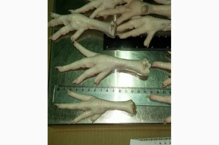 Купуємо курячі лапки класу А1- фото № 1