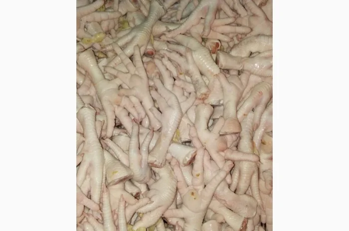 Купуємо курячі лапки класу А1- фото № 2