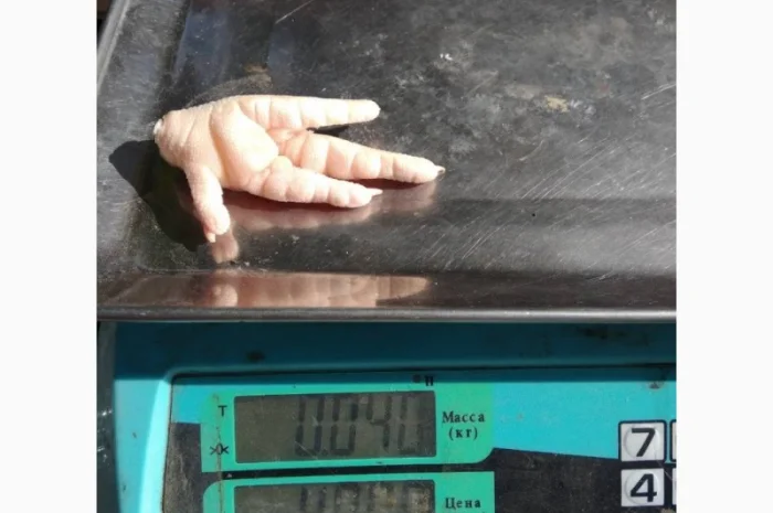 Купуємо курячі лапки класу А1- фото № 5