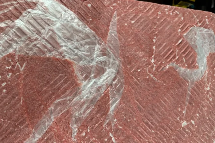 Продам куриный фарш ММО 1 мм- фото № 1