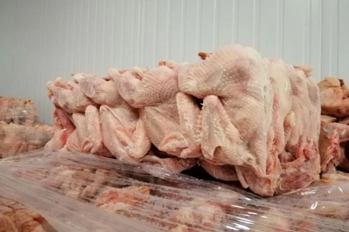 Продам тушку курки-несушки від виробника- фото № 1