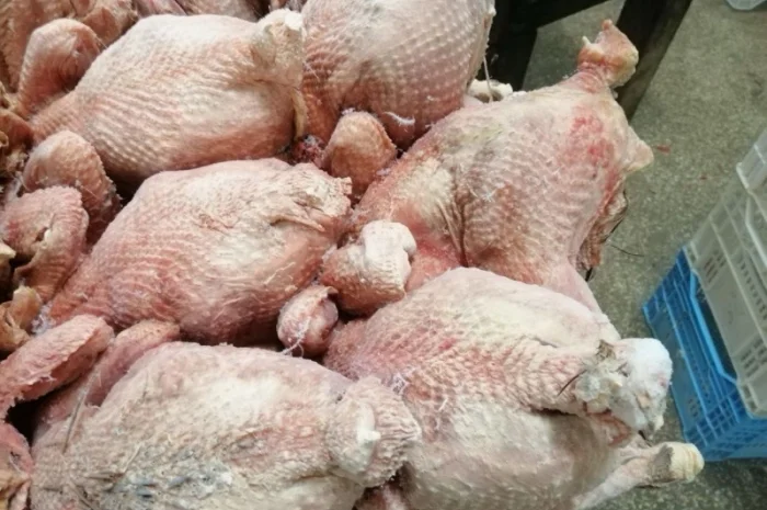 Тушки Птицы вес 2-2.5 кг в продаже- фото № 1