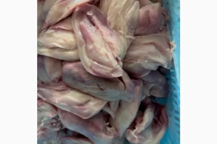 Куриное филе - в продаже- фото № 1