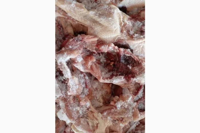 Продам замороженные куриные спинки- фото № 1