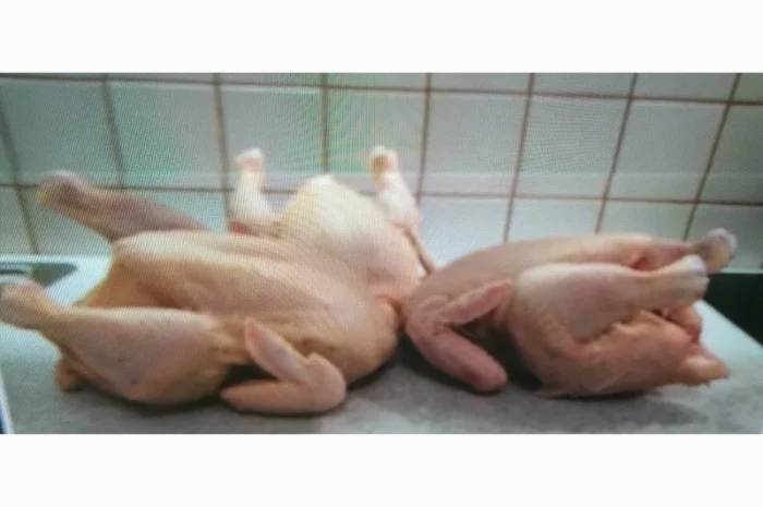 Купуємо курятину в роздріб- фото № 1