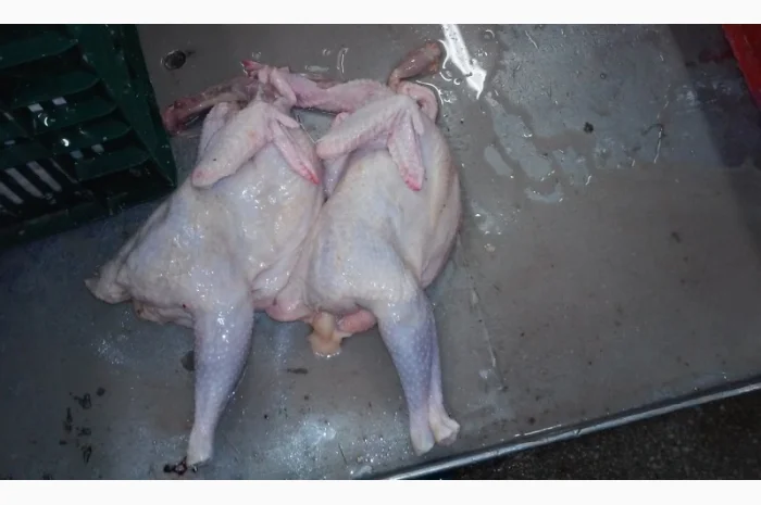 Продаём тушку суповой курицы, тушку бройлера и куриные субпродукты- фото № 1