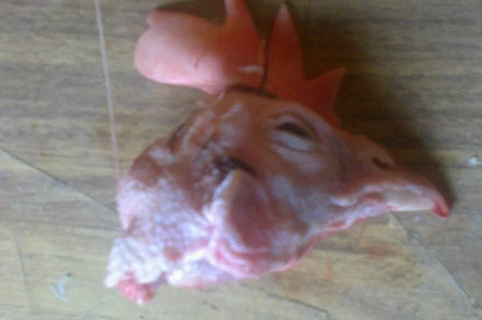 Продаём тушку суповой курицы, тушку бройлера и куриные субпродукты- фото № 3