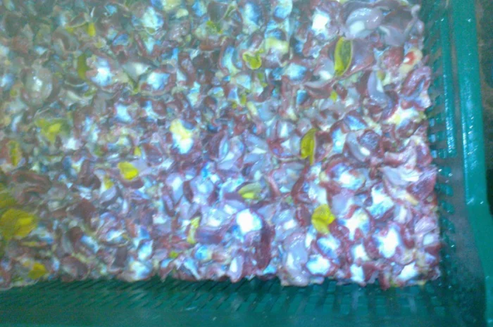 Продаём тушку суповой курицы, тушку бройлера и куриные субпродукты- фото № 4