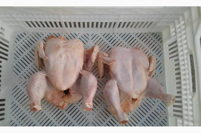 Продаём тушку суповой курицы, тушку бройлера и куриные субпродукты- фото № 2