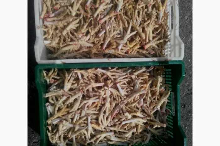 Продаём тушку суповой курицы, тушку бройлера и куриные субпродукты- фото № 6