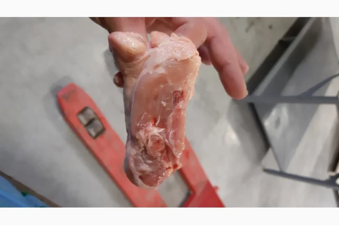 Продам шкіру курячу- фото № 3