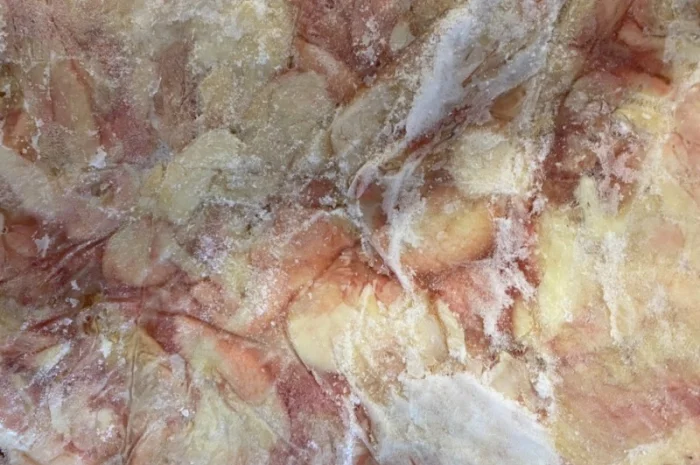 Шкура куриная в объеме 800 кг- фото № 1