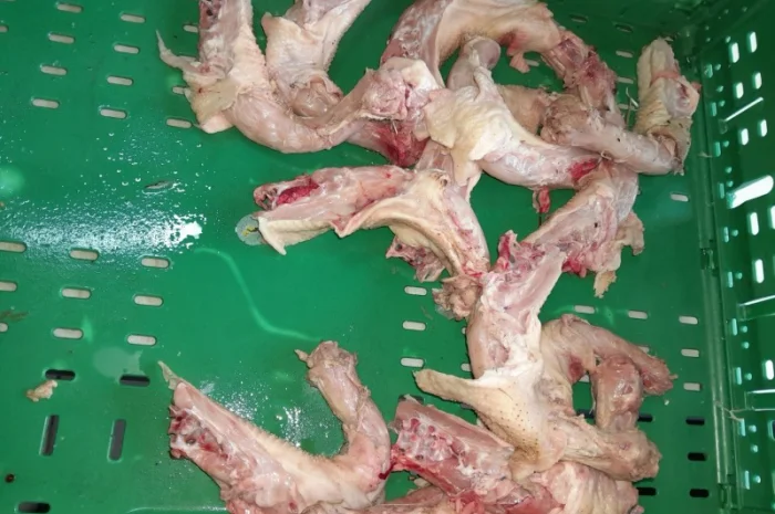 Крупна куряча шия- фото № 1