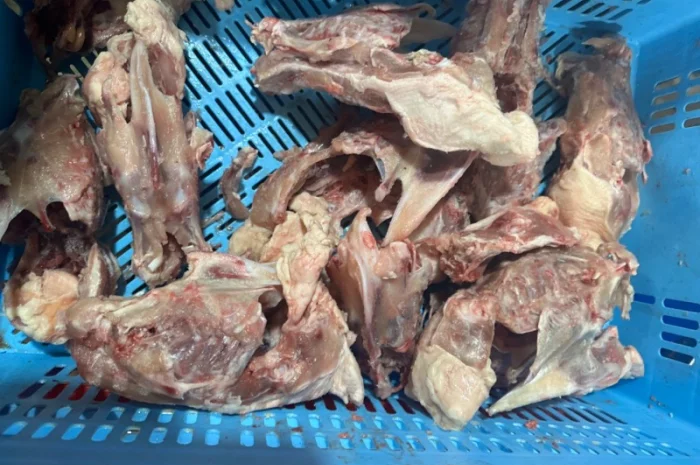 Куплю спинку курячу- фото № 4