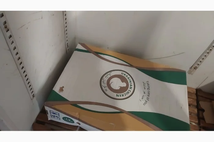 Філе куряче- фото № 1