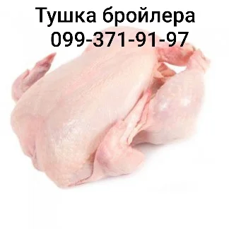 Тушка бройлера- фото № 1