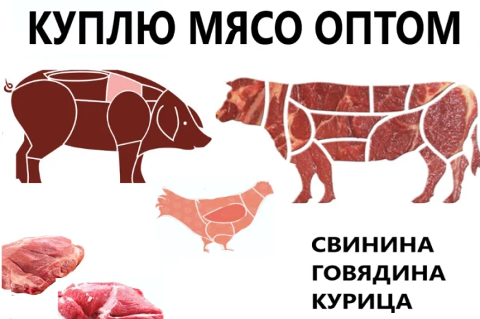 Куплю мясо птиці (частини курячі: філе- фото № 1