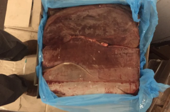 Продам заморожене м’ясо: куряче, свинне та субпродукти- фото № 6