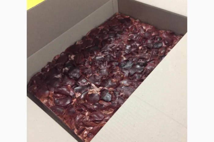 Продам заморожене м’ясо: куряче, свинне та субпродукти- фото № 7