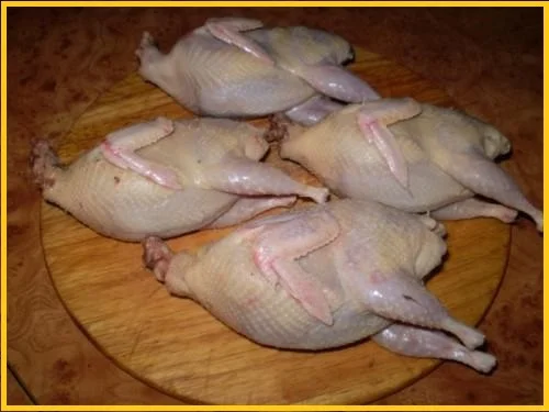 Мясо BIO перепелиное оптом- фото № 2