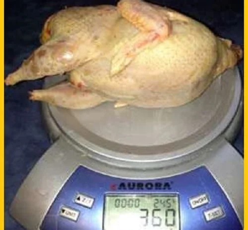 Оптовая продажа BIO перепелиного мяса- фото № 3