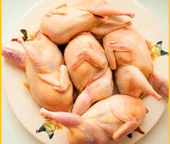 Мясо перепела BIO оптом- фото № 3