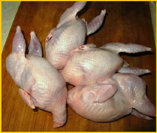 Мясо перепела BIO оптом- фото № 4