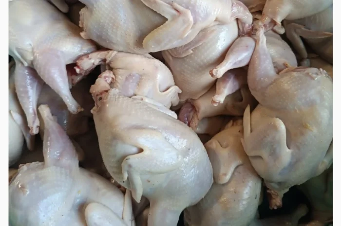 Продам тушки перепелів- фото № 2