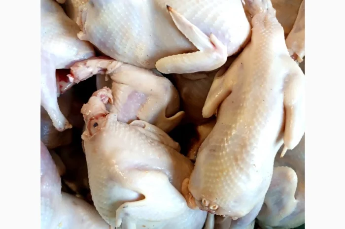 Продам тушки перепелів- фото № 3