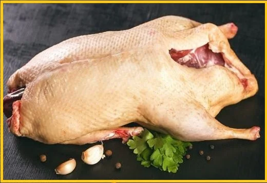 Мясо тушка мускусной утки шипуна индо-утки- фото № 1