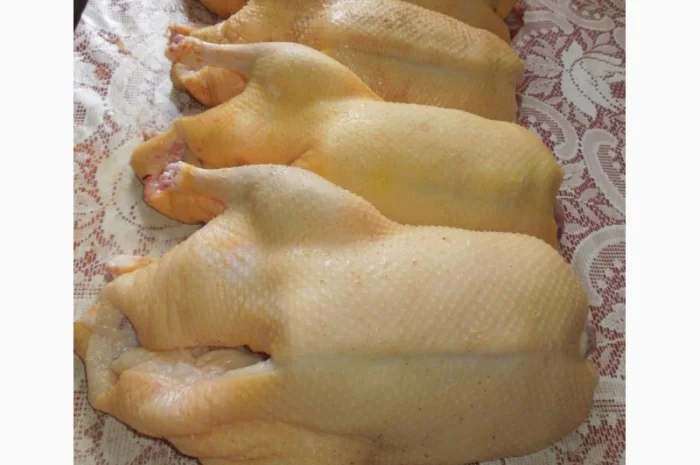 Мясо домашней утки- фото № 3