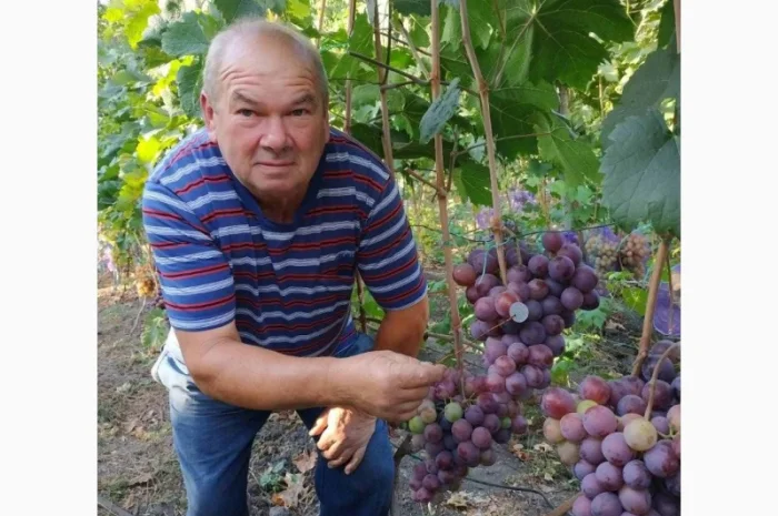 Виноград- фото № 2