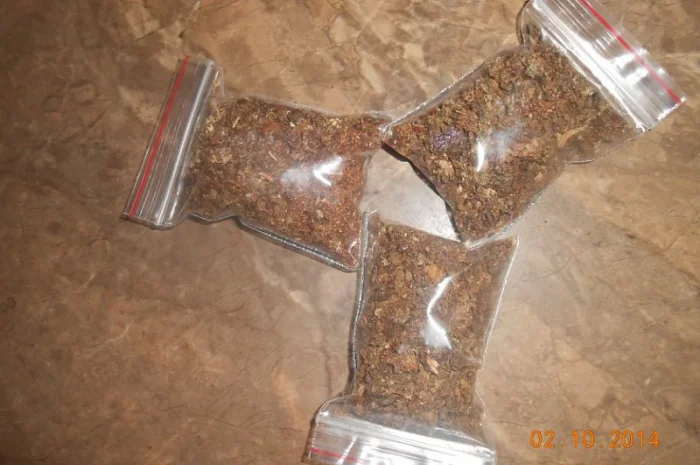 Прополіс бджолиний – натуральний продукт із чистої місцевості- фото № 1