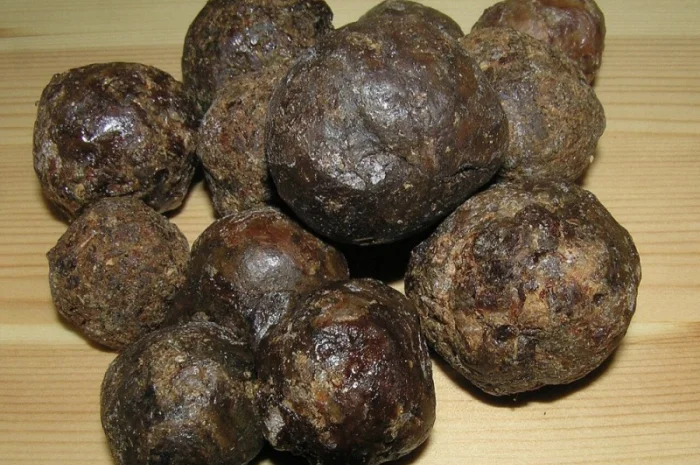 Куплю прополіс оптом і в роздріб- фото № 1