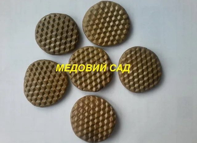 Прополіс з власної пасіки- фото № 1