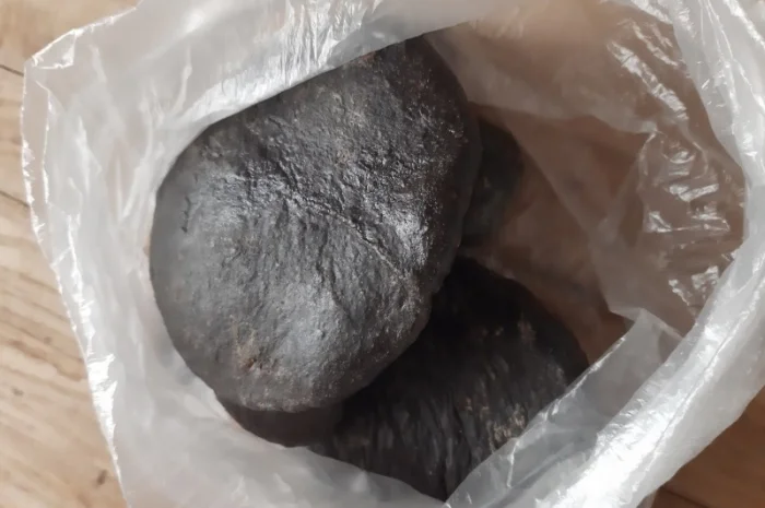 Продам свежий прополис для пчеловодов и лечебных целей- фото № 1