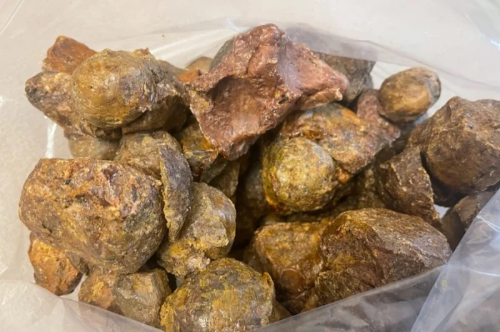 Куплю прополіс постійно — зв’язок лише через Viber- фото № 2