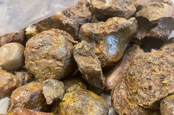 Куплю прополіс постійно — зв’язок лише через Viber- фото № 3