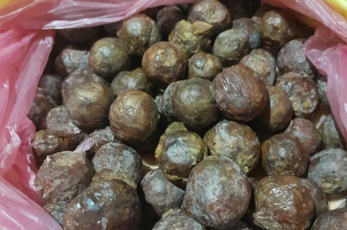 Продается чистый свежий прополис 2024 года- фото № 1