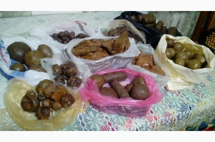 Продам прополіс оптом- фото № 1