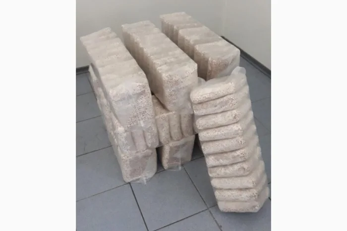 Мицелий съедобных и лечебных грибов- фото № 3