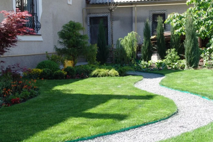 Рулонний газон Спортивний- фото № 1