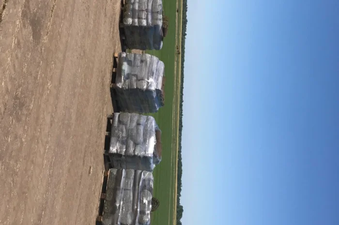 Рулонний газон Спортивний- фото № 2