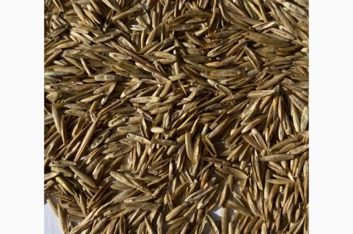 Продам Газон Універсальний- фото № 1