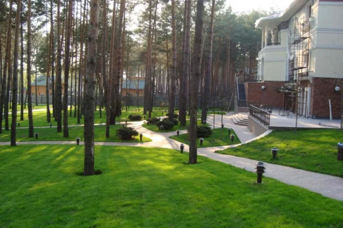 Суміші насіння газонних трав- фото № 1