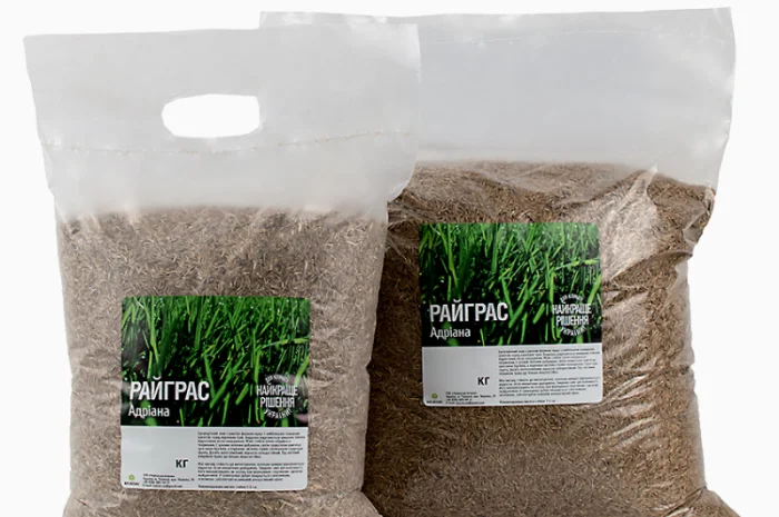 Райграс газонний сорт Адріана від 1 кг- фото № 1
