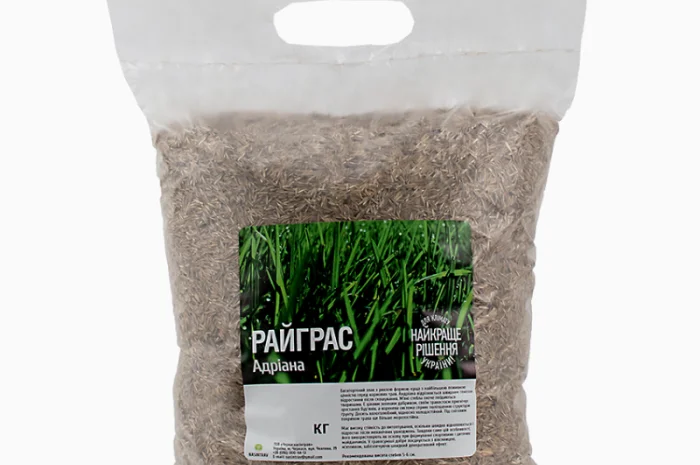 Райграс газонний сорт Адріана від 1 кг- фото № 3
