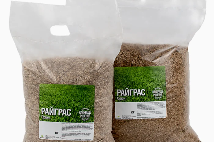 Райграс газонний сорт Оріон від 1 кг- фото № 1